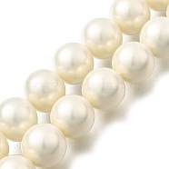 Polished Shell Pearl Round Beads Strands, Nice for Mother's Day Necklace Making, Grade A, Beige, 12mm, Hole: 1mm, about 33pcs/strand, 15.98 inch(40.6cm)(PEAR-XCP0001-10)