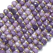 Natural Lepidolite Beads Strands, with Seed Beads, Faceted, Lantern, 8~8.5x6.5~7mm, Hole: 0.6mm, about 44pcs/strand, 15.16''(38.5cm)(G-K389-E47-01)