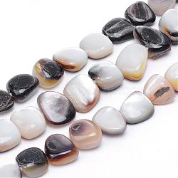 Natural Sea Shell Bead Strands, White, 9~13x9~14x2.5~7mm, Hole: 1mm, about 37pcs/strand, 14.96 inch(SSHEL-S251-02)
