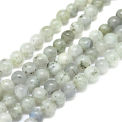 Natural Labradorite Beads Strands, Round, 6mm, Hole: 1mm, about 62pcs/Strand, 15.16 inch(38.5cm)(X-G-G828-01-6mm)