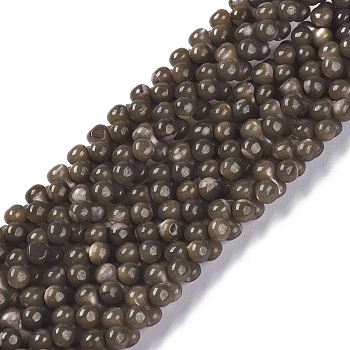 Natural Trochid Shell/Trochus Shell Beads Strands, Dyed, Round, Coffee, 6x3mm, Hole: 0.5mm, about 178pcs/strand, 15.47''(39.3cm)