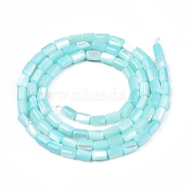 Natural Trochid Shell/Trochus Shell Beads Strands(SHEL-N003-26-B09)-2