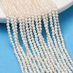Natural Cultured Freshwater Pearl Beads Strands, Potato, Grade 4A+, Old Lace, 2~2.5mm, Hole: 0.2mm, about 195pcs/strand, 15.35''(39cm)(PA-CBABE82-08B)