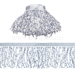 10M Paillette Tassel Ribbon Trim, Clothes Accessories, Silver, 6-1/2~6-3/4 inch(165~170mm), about 10.94 Yards(10m)/pc(OCOR-WH0078-162B)