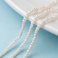 Natural Cultured Freshwater Pearl Beads Strands, Potato, Antique White, 3~3.5x2.3~2.6mm, Hole: 0.5mm, about 142~150pcs/strand, 14.5 inch(37cm)(PEAR-G007-42-01)