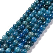 Natural Apatite Beads Strands, Round, 8mm, Hole: 1mm, about 50pcs/strand, 15.7 inch(G-P132-04-8mm)
