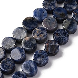 Natural Sodalite Beads Strands, Flat Round, 10x5~6mm, Hole: 1.2mm, about 40pcs/strand, 15.75 inch(40cm)(G-C159-B10-01)