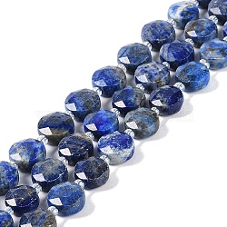 Natural Lapis Lazuli Beads Strands, with Seed Beads, Faceted Hexagonal Cut, Flat Round, 10~11x5~6mm, Hole: 1mm, about 30~31pcs/strand, 14.57~14.96 inch(37~38cm)(G-N342-16)