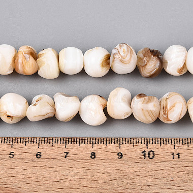 Natural Freshwater Shell Beads Strands(SHEL-T020-17)-4