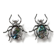 Dual-use Items Alloy Spider Brooch, with Natural Paua Shell, Antique Silver, Dark Green, 42x38x9.5mm, Hole: 4.5X4mm(JEWB-C026-03L-AS)