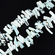 Natural Trochid Shell/Trochus Shell Beads Strands, Dyed, Nugget Stick, Light Cyan, 14.5~40x4.5~14.5x2.5~6.5mm, Hole: 1mm, about 74~81pcs/strand, 15.35 inch~16.14 inch(39cm~41cm)(SSHEL-T014-41C)