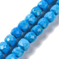 Natural Howlite Beads Strands, Dyed, Faceted Rhombus Cut, Cube, Deep Sky Blue, 5x5x5mm, Hole: 1mm, about 70~81pcs/strand, 14.57~15.75''(37~40cm)(G-G001-B02-04)