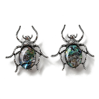 Dual-use Items Alloy Spider Brooch, with Natural Paua Shell, Antique Silver, Dark Green, 42x38x9.5mm, Hole: 4.5X4mm