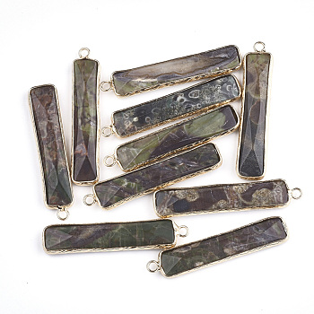 Natural Ocean Jasper Pendants, with Brass Findings, Faceted, Rectangle, Golden, 46.5x10x5mm, Hole: 2mm