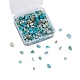 Perles en chips d'amazonite naturelle(G-CJ0001-21)-1