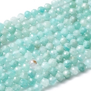 Natural Amazonite Bead Strands, Faceted Round, 3mm, Hole: 0.8mm, about 118~130pcs/strand, 15.4 inch(G-A129-3mm-20)