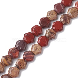 Natural Red Rainbow Jasper Beads Strands, Faceted Hexagonal Cut, Hexagon, 8~8.5x9~9.5x4~4.5mm, Hole: 1mm, about 25pcs/strand, 8.11''(20.6cm)(G-K359-C09-01)