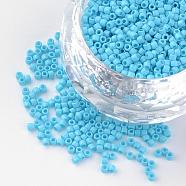 Baking Paint Cylinder Seed Beads, Uniform Size, Matte Style, Light Sky Blue, 1~1.5x1.5~2mm, Hole: 0.5mm, about 50g/bag, about 5000pcs/bag(SEED-R041-09)