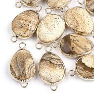Natural Picture Jasper Links connectors, with Brass Findings, Nickel Free, Faceted, teardrop, Golden, 27.5x14.5~15x6~6.5mm, Hole: 2mm(G-S344-02I)