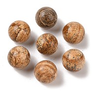 Natural Picture Jasper No Hole Sphere Beads, Round, 16mm(G-K353-04D-15)