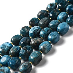 Natural Apatite Beads Strands, Oval, 9.5~19.5x8~13.5x5.5~13mm, Hole: 0.9~1.2mm, about 24~27pcs/strand, 14.96~15.55''(38~39.5cm)(G-B028-B09)