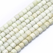 Natural Myanmar Jade Beads Strands, Column, 8x8mm, Hole: 1mm, about 51pcs/strand, 15.35 inch(39cm)(G-F715-030)