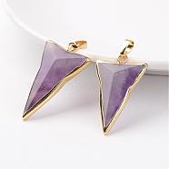 Natural Amethyst Pendants, Triangle, with Brass Findings, Golden, 30~40x20~31x6~10mm, Hole: 5x7mm(G-H046-02)