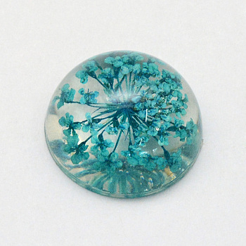 Resin Cabochons, Dome, Half Round, with Dried Flower inside, Dark Cyan, 15.5~16x7.5~8.5mm