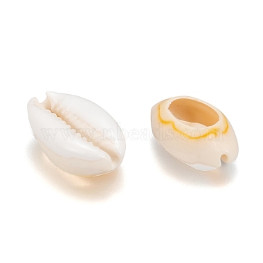 Perles de coquillage cauri naturelles(X-SHEL-S274-54)-3