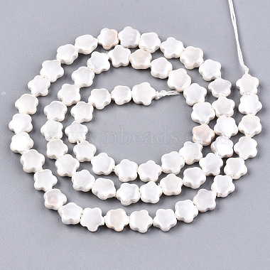Shell Pearl Beads Strands(X-SSHEL-N032-21)-2