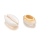 Perles de coquillage cauri naturelles(X-SHEL-S274-54)-3