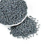 8/0 Ceylon Round Glass Seed Beads, Gray, Size: about 3mm in diameter, hole:1mm, about 1101pcs/50g(X-SEED-A011-3mm-156)