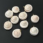 Natural Shiva Eye Shell Pendants, Shell Shape Charms with Brass Bails, Real 18K Gold Plated, Cadmium Free & Lead Free, Rack Plating, Long-Lasting Plated, Floral White, 20.5~23x18~20x9~12mm, Hole: 1.4mm(KK-C143-55G)