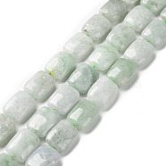 Natural Myanmar Jade/Burmese Jade Beads Strands, Rectangle, 14.5x10.5x6mm, Hole: 1mm, about 28pcs/strand, 16.14 inch(41cm)(G-C238-13)