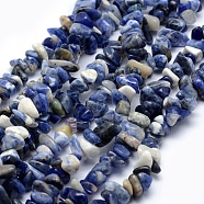 Natural Sodalite Beads Strands, Chip, 5~8mm, Hole: 1mm, about 33 inch(84cm)(X-G-P332-21)