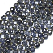 Natural Iolite Beads Strands, with Seed Beads, Faceted, Flat Round, 6~6.5x4mm, Hole: 1mm, about 50pcs/strand, 15.35''(39cm)(G-K389-B29-01)