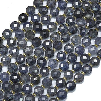 Natural Iolite Beads Strands, with Seed Beads, Faceted, Flat Round, 6~6.5x4mm, Hole: 1mm, about 50pcs/strand, 15.35''(39cm)