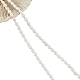 2 Strands Natural Freshwater Shell Beads Strands(SSHEL-NB0001-38)-7