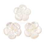 Natural White Shell Carved Beads, Flower, 14x14.5x2mm, Hole: 2mm(SSHEL-I026-12F-07)