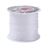 Nylon Wire, Fishing Line, Invisible Hanging Wire, for Beading, Hanging Decoration, Clear, 1.0mm, about 5.46 yards(5m)/roll(NWIR-R011-1.0mm)
