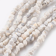 Natural Howlite Chips Beads Strands, about 3~5mm, hole: 0.8mm, 15.5 inch, about 82pcs/strand(G365-34)