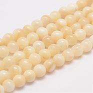 Natural Shell Bead Strands, Round, Wheat, 6mm, Hole: 1mm, about 63pcs/strand, 15.5 inch(G-K153-B47-6mm)