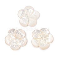 Natural White Shell Carved Beads, Flower, 14x14.5x2mm, Hole: 2mm(SSHEL-I026-12F-07)