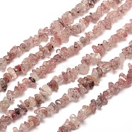 Natural Strawberry Quartz Chip Bead Strands, 5~8x5~8mm, Hole: 1mm, about 31.5 inch(X-G-M205-59)