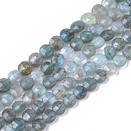 Natural Apatite Beads Strands, Faceted, Flat Round, 4x2.5mm, Hole: 0.6mm, about 102pcs/strand, 15.35 inch(39cm)(G-S362-010)