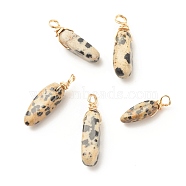 Natural Dalmatian Jasper Pendants, Twisted with Golden Tone Copper Wire, Chip, 17~29x8~10x5.5~9mm, Hole: 2.5~3.2mm(PALLOY-JF01582-03)