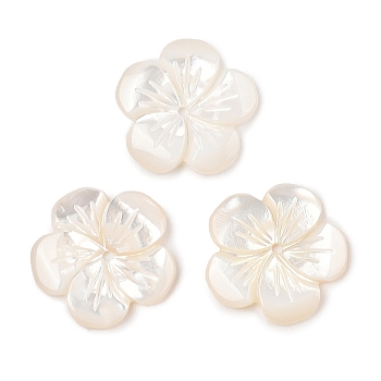 Natural White Shell Carved Beads, Flower, 14x14.5x2mm, Hole: 2mm