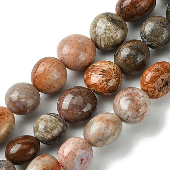 Natural Fossil Coral Beads Strands, Oval, Tumbled Stone, 12~16.5x12~13x11~13mm, Hole: 1.2mm, about 28~29pcs/strand, 15.55~15.75 inch(39.5~40cm)