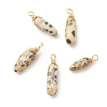 Natural Dalmatian Jasper Pendants, Twisted with Golden Tone Copper Wire, Chip, 17~29x8~10x5.5~9mm, Hole: 2.5~3.2mm