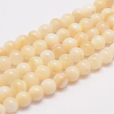 6mm Wheat Round Other Sea Shell Beads